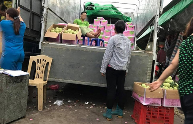 Đào, mận Trung Quốc đội lốt đặc sản Tây Bắc 