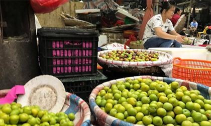 Đào, mận Trung Quốc đội lốt đặc sản Tây Bắc 'tung hoành' Hà Nội