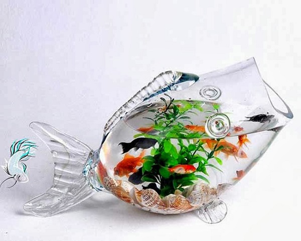 tang qua ma chon nhung mon do dai ky nay thi ca hai nguoi chi co 