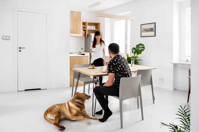Hai căn hộ nhỏ với sắc trắng làm chủ đạo đẹp mười phân vẹn mười - Ảnh 11.