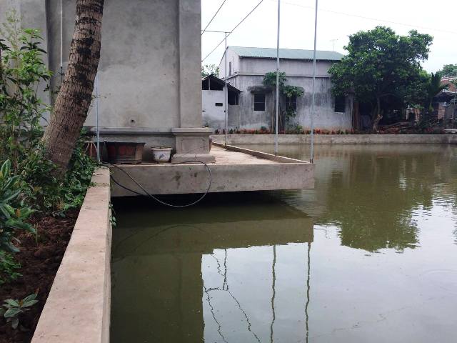 4 nguoi duoi nuoc tai ha noi: 