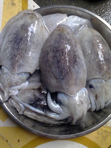 Mẹo “thần thánh” xào mực giòn sần sật, thơm ngọt, không chảy nước - 1