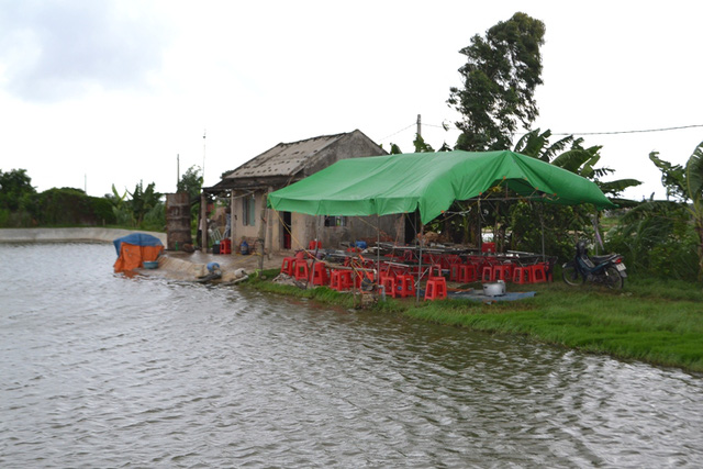 vu 2 chi em ruot tu vong duoi ao: noi dau xe long cua cha me - 1