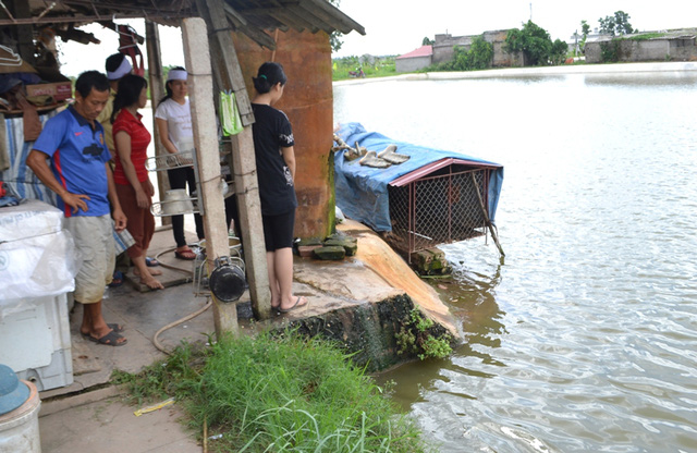 vu 2 chi em ruot tu vong duoi ao: noi dau xe long cua cha me - 3