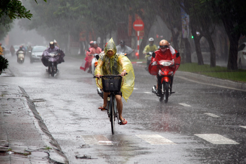 du bao thoi tiet hom nay (8.7): chieu toi nay ha noi co mua rao rai rac va dong hinh anh 1