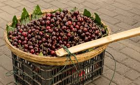 Trái cây “thượng lưu” Cherry gây sốc chợ mạng vì rẻ bất ngờ hình ảnh 3 trai cay “thuong luu” cherry gay soc cho mang vi re bat ngo hinh anh 3