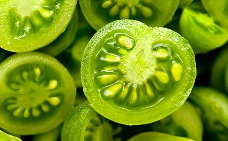 20170710233047-doc-ca-chua-xanh-1499397289601-xahoi.com.vn-w460-h285