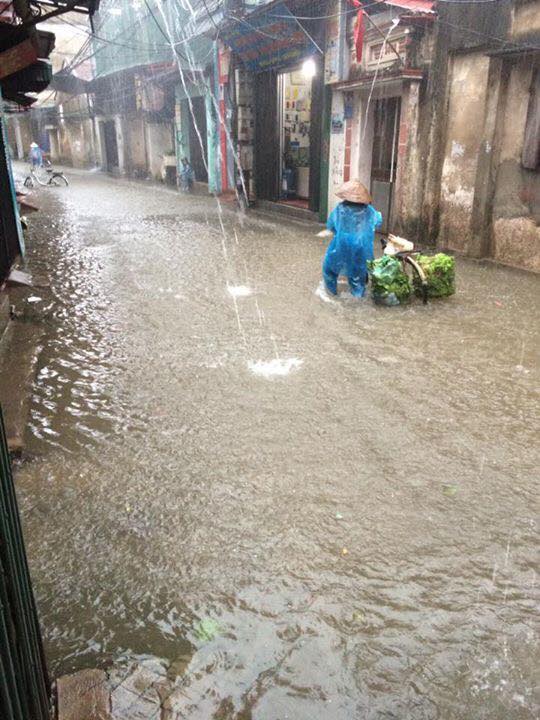 du bao thoi tiet hom nay (14.7): mien bac mua nhu trut nuoc hinh anh 1