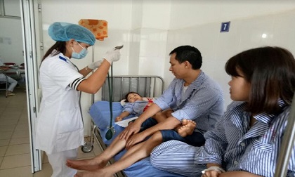 Hàng loạt người bị ngộ độc nấm ở Sơn La