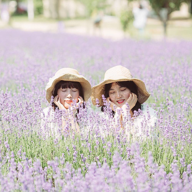 Top 3 con giáp vì tình bạn sẵn sàng từ bỏ tình yêu - Ảnh 1. Top 3 con giáp vì tình bạn sẵn sàng từ bỏ tình yêu - Ảnh 1.