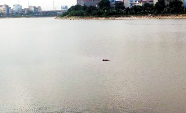 Hà Nội: Phát hiện thi thể một người đàn ông bốc mùi hôi thối giữa hồ Linh Đàm - Ảnh 1.