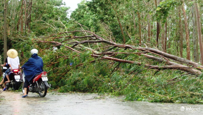 Ảnh: Hà Tĩnh, Nghệ An, Thanh Hóa tan hoang sau bão số 2 - 10