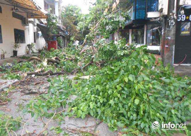 Ảnh: Hà Tĩnh, Nghệ An, Thanh Hóa tan hoang sau bão số 2 - 16