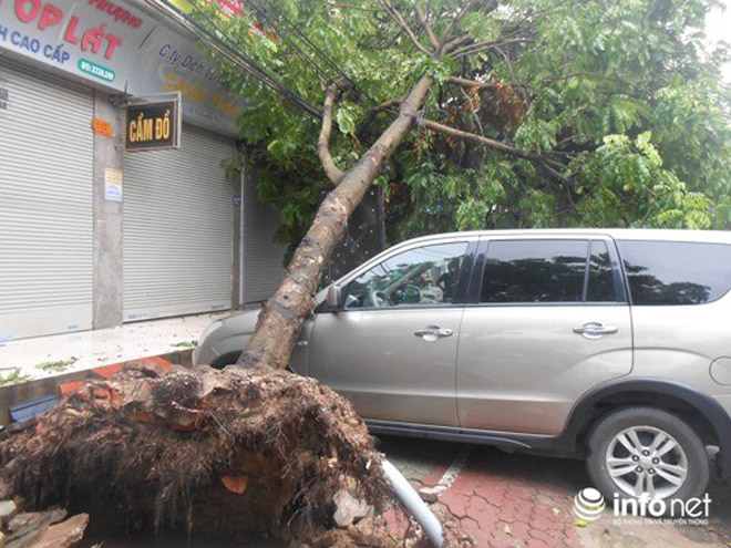 Ảnh: Hà Tĩnh, Nghệ An, Thanh Hóa tan hoang sau bão số 2 - 17