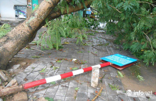 Ảnh: Hà Tĩnh, Nghệ An, Thanh Hóa tan hoang sau bão số 2 - 18