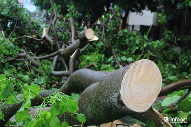 Ảnh: Hà Tĩnh, Nghệ An, Thanh Hóa tan hoang sau bão số 2 - 2
