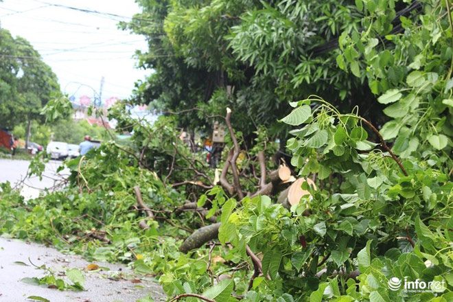 Ảnh: Hà Tĩnh, Nghệ An, Thanh Hóa tan hoang sau bão số 2 - 3