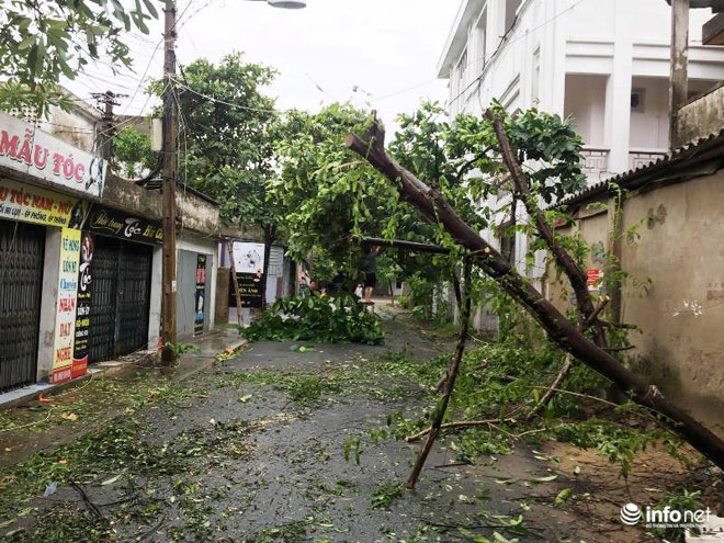 Ảnh: Hà Tĩnh, Nghệ An, Thanh Hóa tan hoang sau bão số 2 - 5