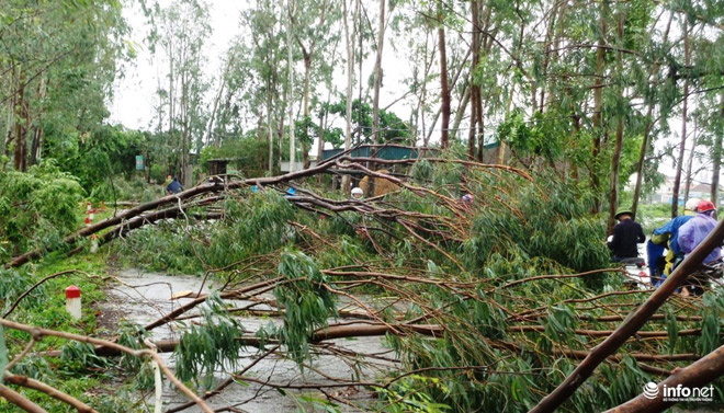Ảnh: Hà Tĩnh, Nghệ An, Thanh Hóa tan hoang sau bão số 2 - 8