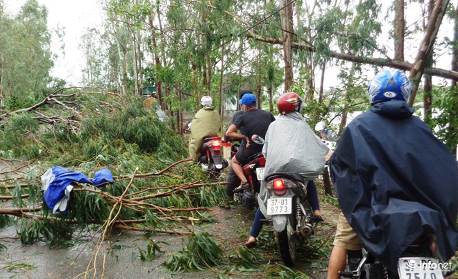 Ảnh: Hà Tĩnh, Nghệ An, Thanh Hóa tan hoang sau bão số 2 - 9