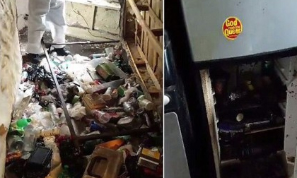 Ở bẩn kinh hoàng, người đàn ông vô tình nuôi hàng nghìn con gián trong căn hộ sang trọng
