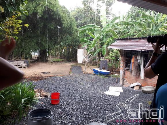guong-mat-truyen-hinh-2017-187-3-xahoi.com.vn-w580-h435 guong-mat-truyen-hinh-2017-187-3-xahoi.com.vn-w580-h435