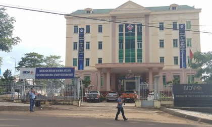 'Kiều nữ' dùng 'mác' nhân viên ngân hàng lừa đảo chiếm đoạt tiền tỷ
