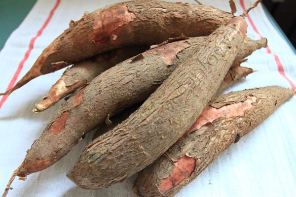 Những thực phẩm có chất độc tự nhiên - lưu lý khi chế biến - 4