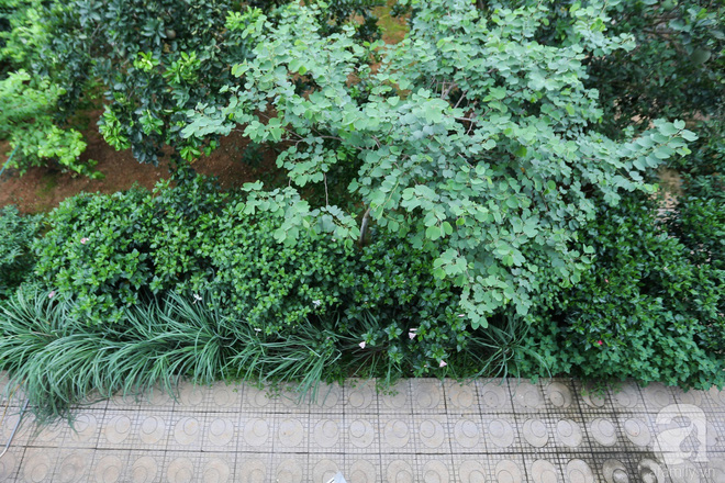 Sau mọi ánh hào quang của sân khấu, NSND Thanh Hoa sống bình yên bên nhà vườn rộng 1000m² - Ảnh 21.
