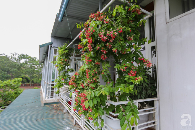 Sau mọi ánh hào quang của sân khấu, NSND Thanh Hoa sống bình yên bên nhà vườn rộng 1000m² - Ảnh 26.