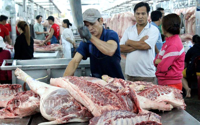gia lon hom nay 21.7: dong nai 35.000 d/kg, nghi c.p thao tung gia? hinh anh 2