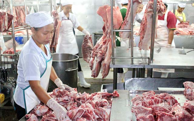 gia lon hom nay 23.7: su that mien nam on dinh tu 39.500-41.500 d/kg hinh anh 2