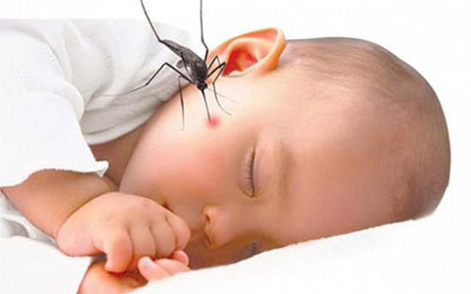Trẻ sốt đột ngột, cảnh giác với bệnh sốt xuất huyết đang bùng phát - Ảnh 3.