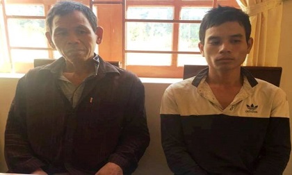 Trộm bò làm thịt vì... thèm ăn lòng bò, uống rượu