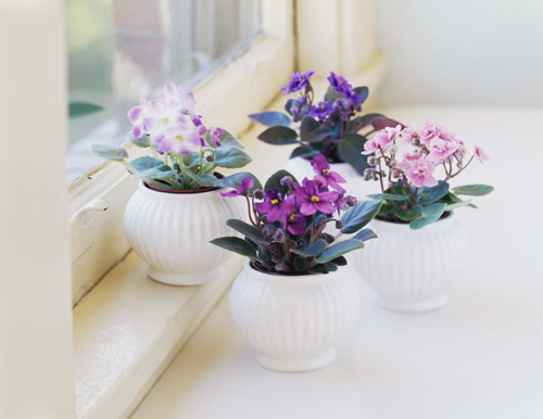 clip_image010
