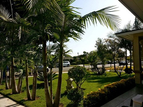 20170724091412-quang-le4-xahoi.com.vn-w500-h375