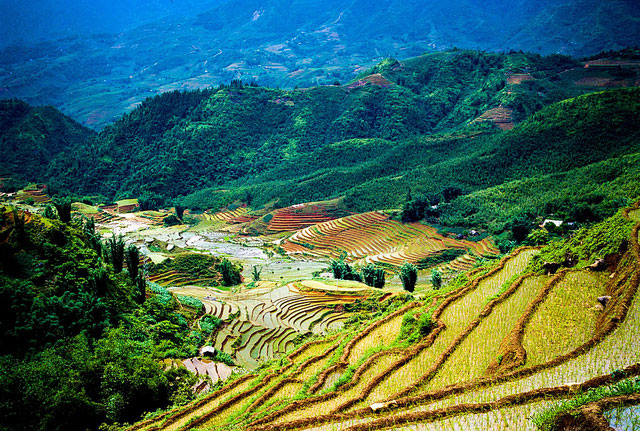 10.dia-diem-du-lich-quoc-khanh-tai-sapa-3-phunutoday.vn