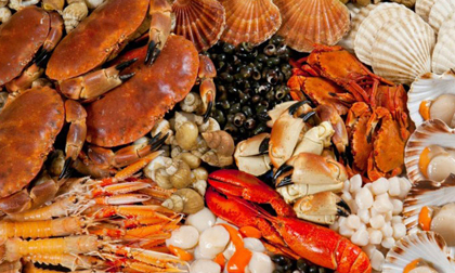 Những thực phẩm chứa chì dễ gây ngộ độc
