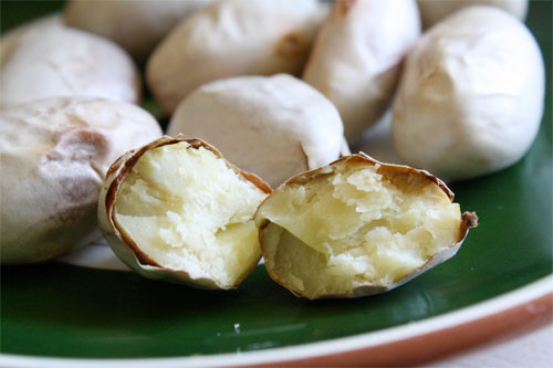 ngua-ung-thu-1