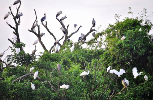 8.dia-diem-du-lich-quoc-khanh-tai-hai-duong-2-phunutoday.vn