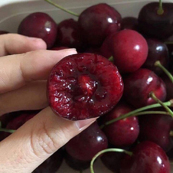 Ăn quả cherry cần nhớ những điều này nếu không muốn thiệt mạng - 1