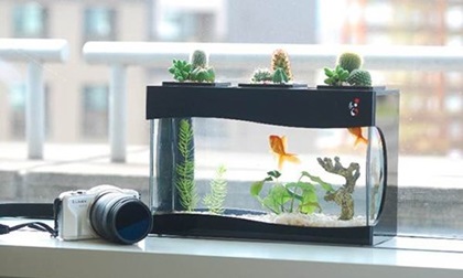 Bật mí bí kíp hút tài lộc theo con giáp giúp gia đình ngày càng giàu có, hạnh phúc, sự nghiệp thăng tiến