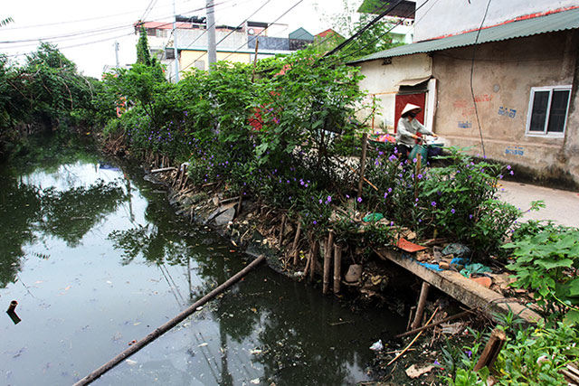 kinh hai nhung “be phot lo thien” giua thu do mua sot xuat huyet - 1