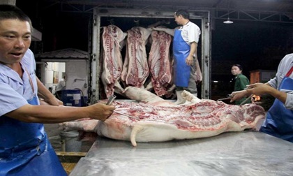 Khủng hoảng thịt lợn có thể sẽ trở lại