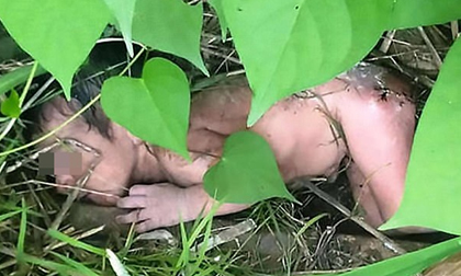 Bé gái sơ sinh bị ném vào bụi rậm, trên người chi chít gai nhọn khiến dư luận phẫn nộ