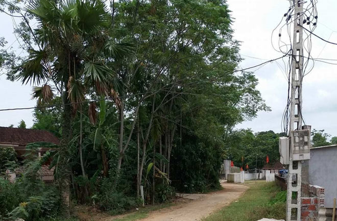 Cụ ông 70 tuổi bị người tình trẻ đầu độc: Vì đâu nên nỗi? - 1