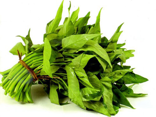 rau-muong1