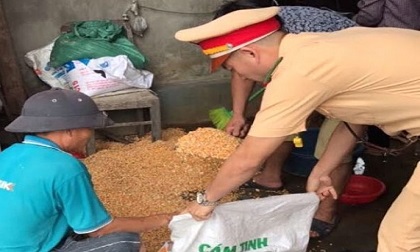 Tài xế container kể lại giây phút bất lực nhìn dân “hôi” hàng tấn ngô