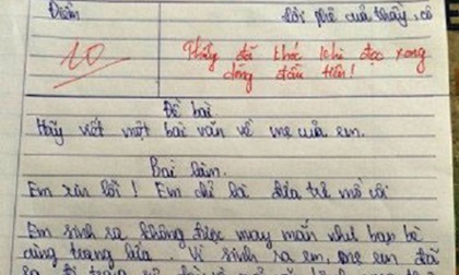 Bài văn tả mẹ đạt điểm 10 khiến thầy giáo phải bật khóc ngay khi đọc dòng đầu tiên