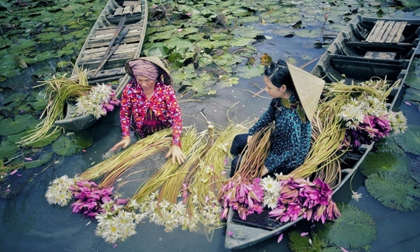'Dấu ấn Việt Nam': 12 mùa hoa rực rỡ sắc màu